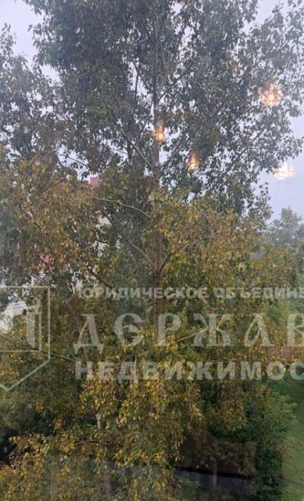 квартира г Междуреченск пр-кт Строителей 30 фото 8