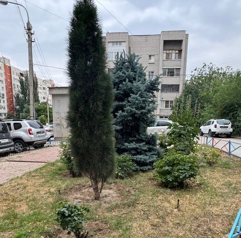 квартира г Волгоград р-н Краснооктябрьский ул им. Рихарда Зорге 53 фото 26