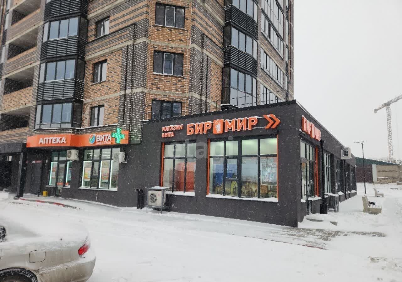 квартира г Воронеж р-н Коминтерновский ул Историка Костомарова 40а фото 16