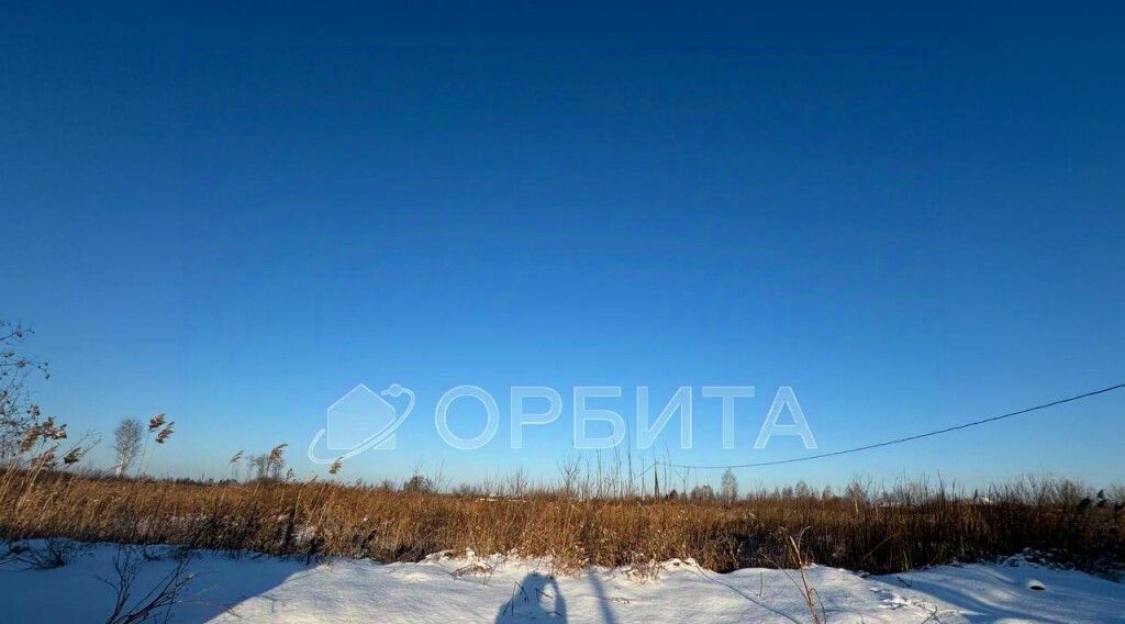 земля г Тюмень р-н Центральный снт Липовый остров ул 1-я Западная фото 1