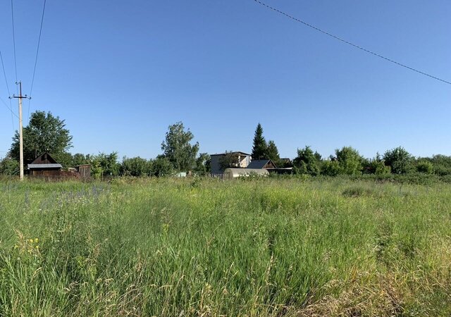 снт Заря Павловск фото