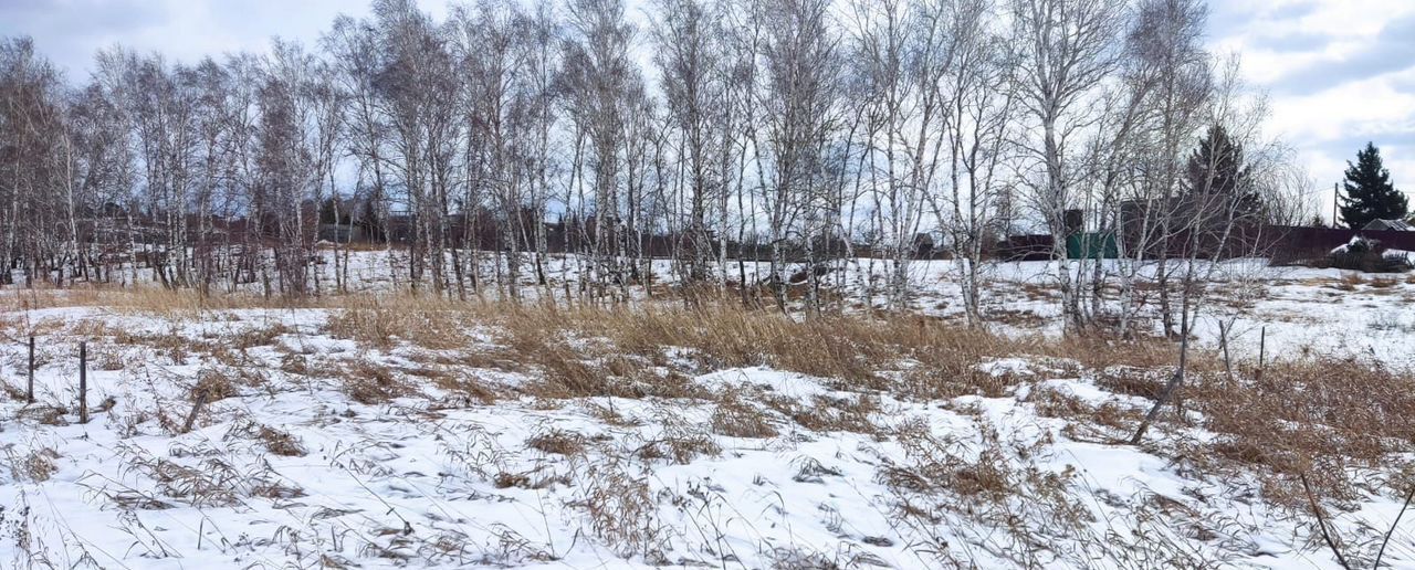 земля г Красноярск р-н Октябрьский снт Колос фото 4