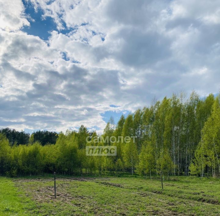 земля г Бор д. Бузуйки, 6 фото 2