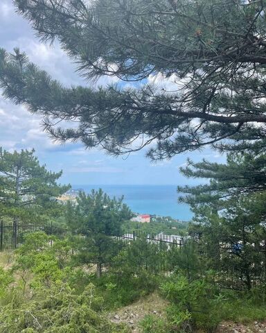 г Алупка ул им П.В.Изергина фото