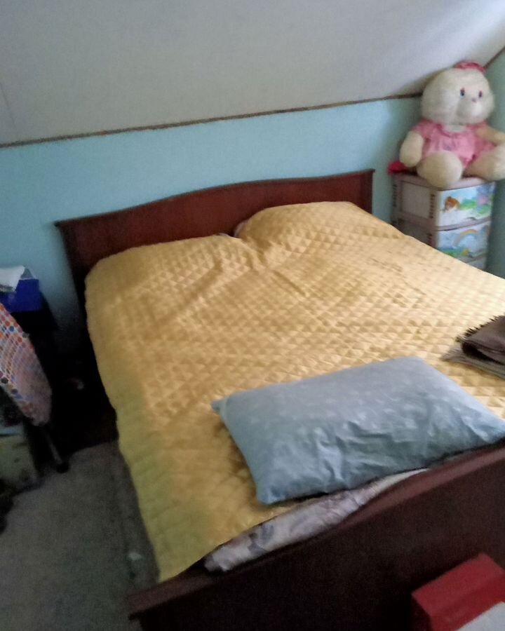 дом городской округ Богородский г Ногинск снт Искра 43 км, Электросталь, Горьковское шоссе фото 5
