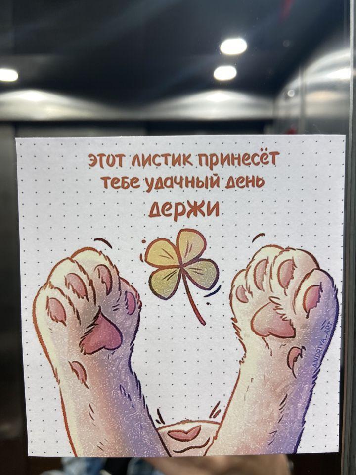 квартира р-н Всеволожский г Кудрово ул Пражская 11 Улица Дыбенко, Заневское городское поселение фото 20