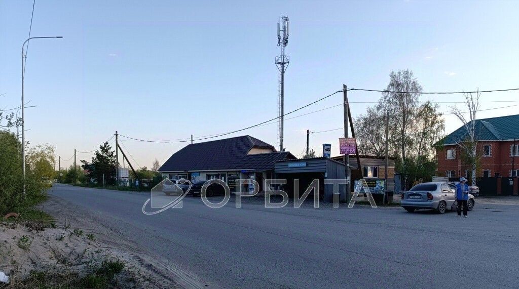земля г Тюмень р-н Центральный снт Липовый остров ул Западная 2-я фото 1