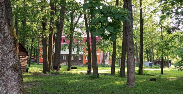 квартира пр-кт Успенский 20 фото