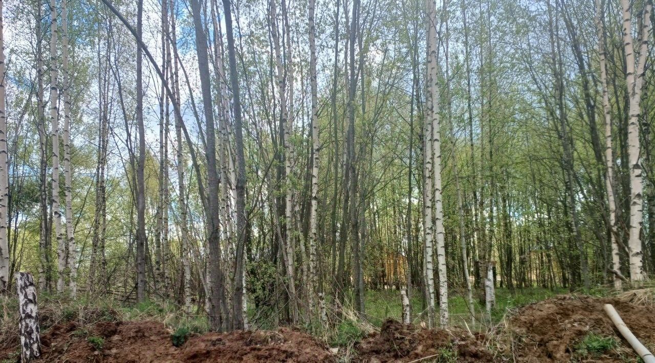 земля г Сергиев Посад ул Лейтенанта Алексеева фото 2