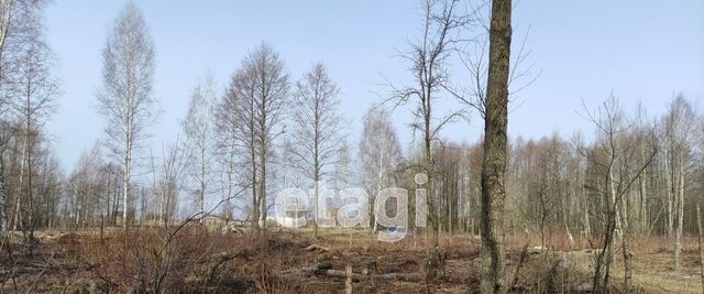 земля п Большое Полпино пер Брянский р-н Володарский фото