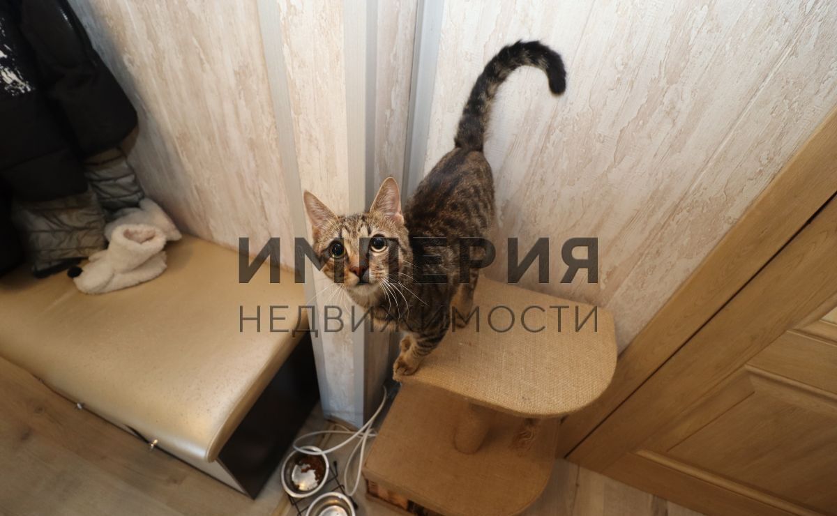 квартира г Магадан ул Набережная реки Магаданки 83 фото 10