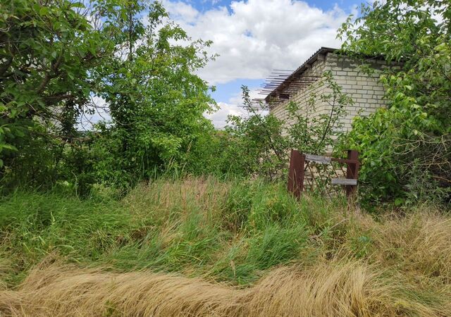 р-н Октябрьский садовое товарищество Земляне, 73 фото