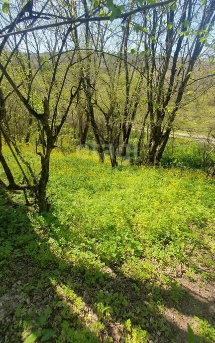 земля г Новороссийск п Верхнебаканский фото 2