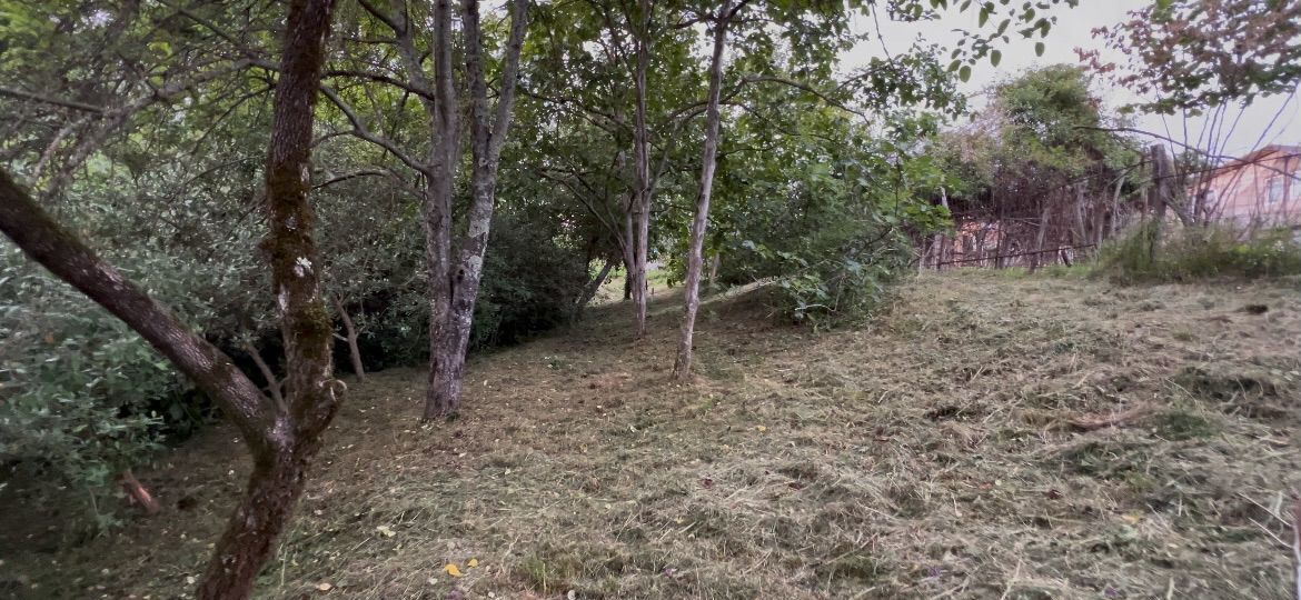 земля г Сочи р-н Адлерский с Бестужевское фото 3