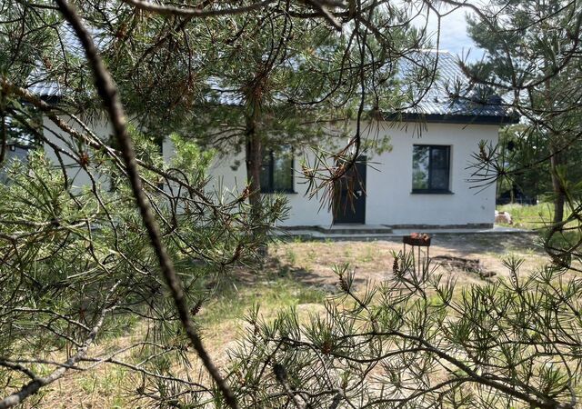 дом снт СДТ Сосновый бор Локомотивное депо 2-я линия, 31А фото