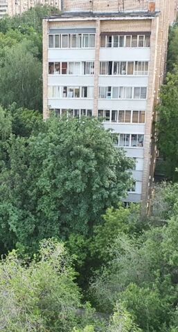 метро Щелковская ул Байкальская 29 фото