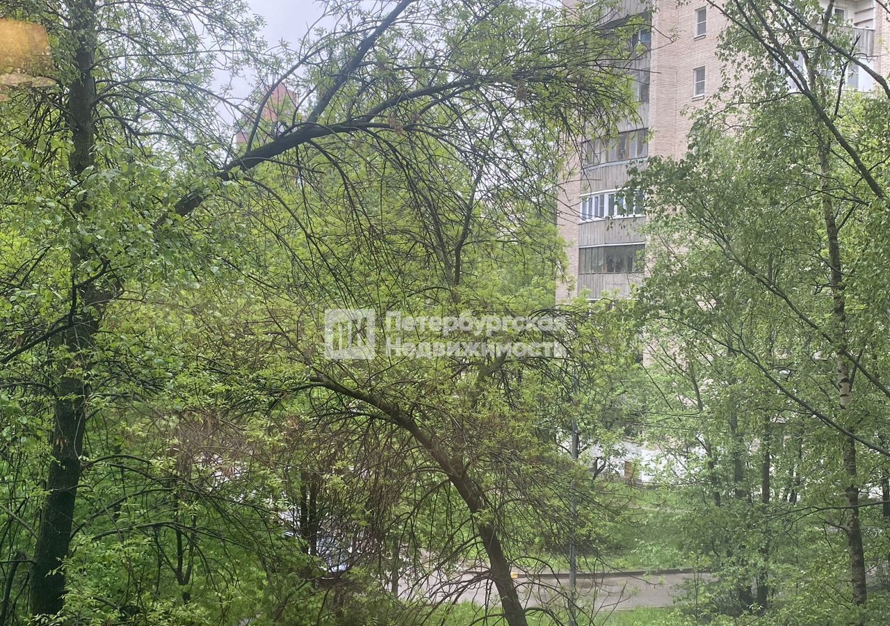 квартира г Санкт-Петербург метро Проспект Большевиков пр-кт Товарищеский 1к/1 фото 17
