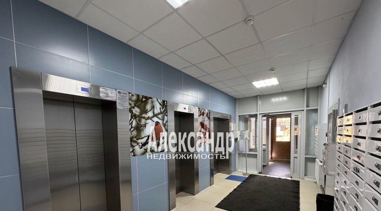 квартира г Санкт-Петербург метро Ладожская пр-кт Энергетиков 9к/1 ЖК «ЗимаЛето» округ Большая Охта фото 39