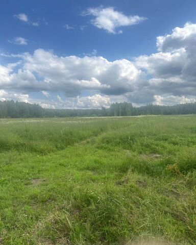 86 км, Первомайский, г. о. Коломна, Каширское шоссе, СНТ Полесье фото