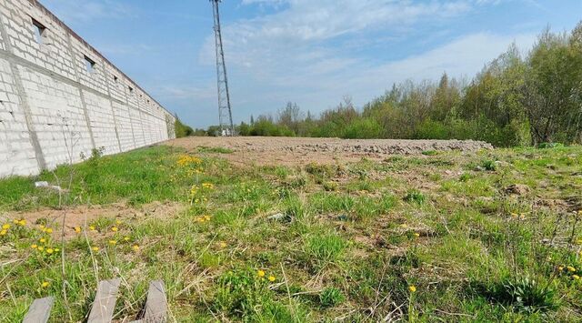 офис г Красное Село ул Свободы 50м метро Проспект Ветеранов фото