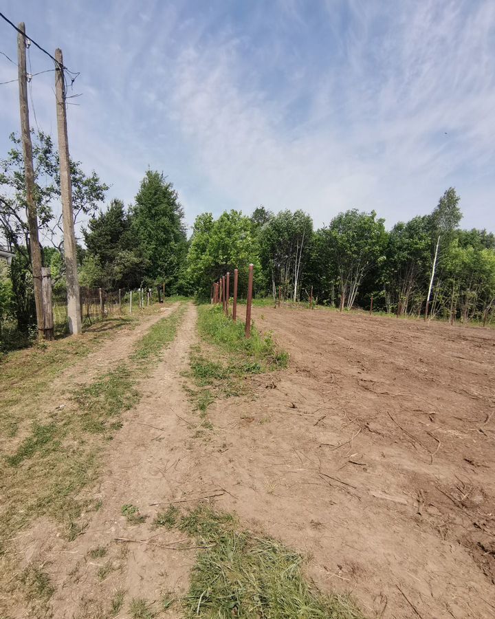 земля г Бор СНТ Кривель, Кстово фото 3