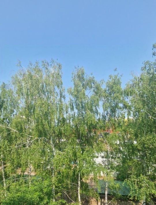 квартира г Набережные Челны р-н Автозаводский пр-кт им Вахитова 50 фото 13