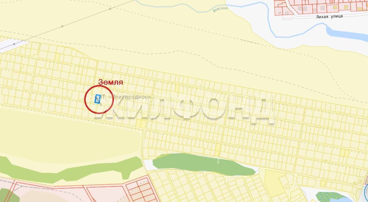дом г Барнаул р-н Индустриальный снт Пригородное Барнаул, Магистральная ул, Власиха фото 12