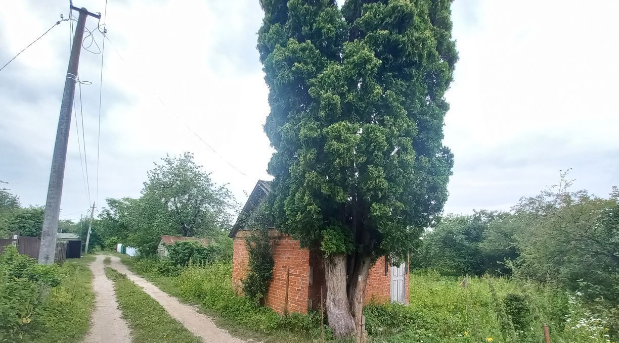земля г Владикавказ р-н Затеречный тер. СНО Редант 209 фото 1