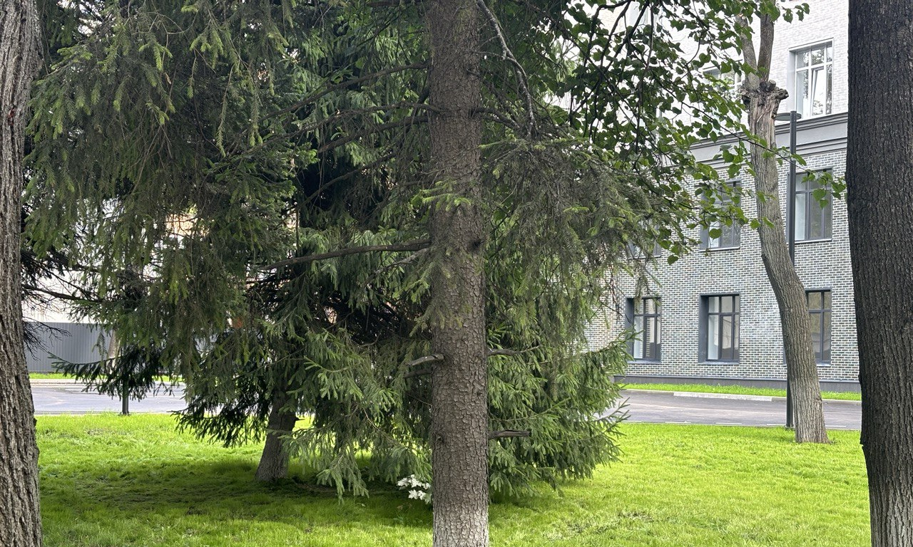 квартира г Люберцы микрорайон Панки пр-кт Октябрьский 403 к 1 ст А фото 24