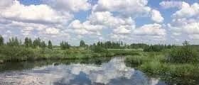 Переслегинская волость, Великие Луки фото
