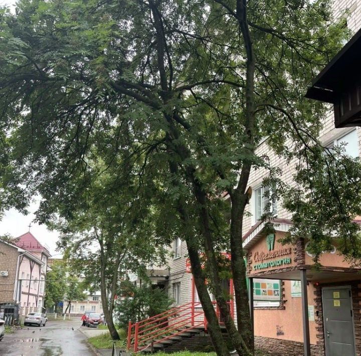 производственные, складские р-н Богородский г Богородск ул Ленина 149 фото 4