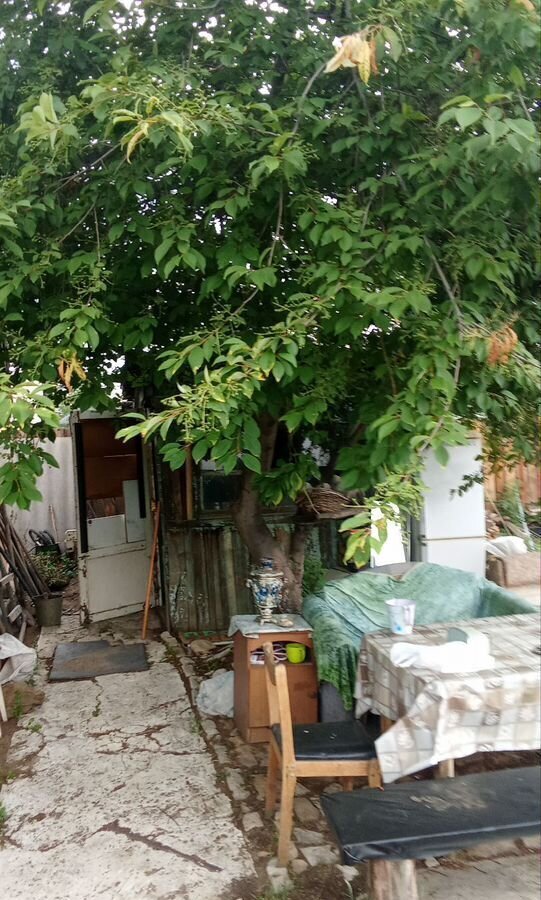 дом г Чита р-н Черновский садовое товарищество Берёзка фото 8