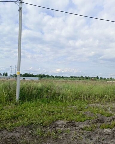 земля р-н Центральный общество Дубок, садовое фото