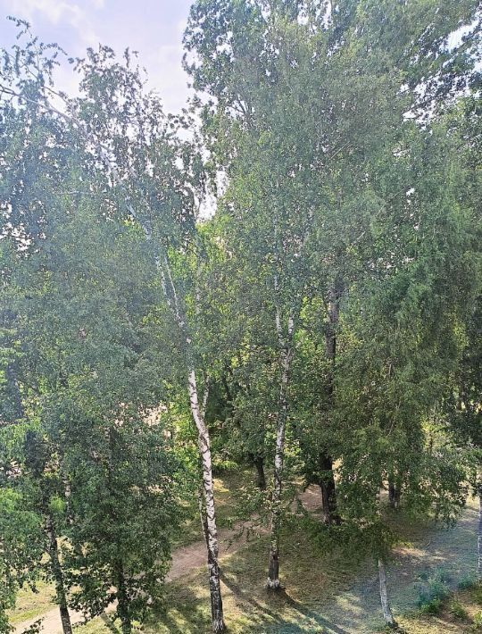 квартира г Нижний Новгород р-н Автозаводский Парк культуры ул Автомеханическая 10 фото 15