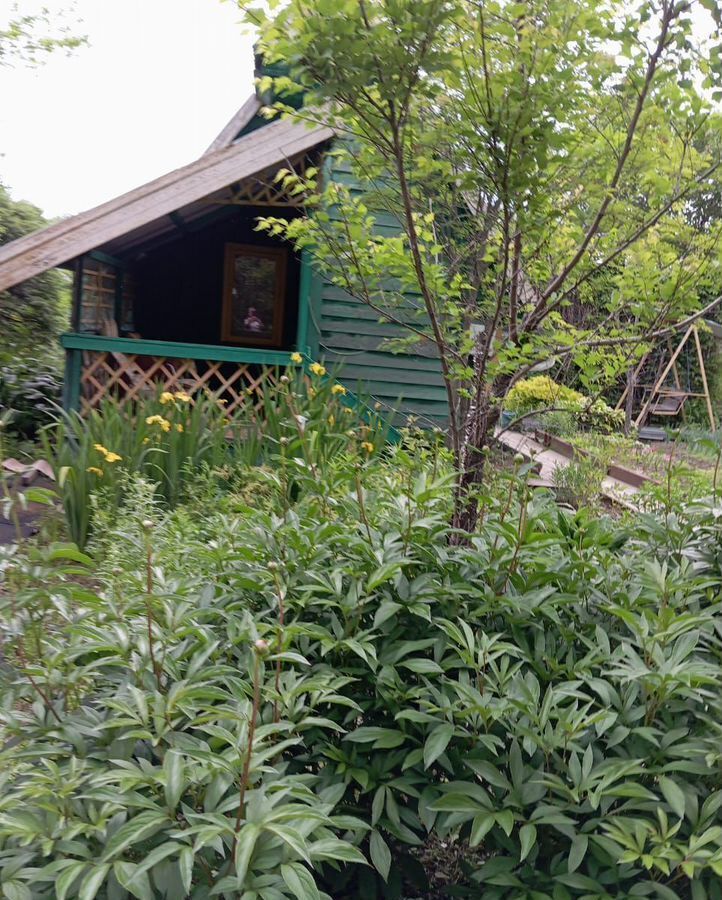 земля г Хабаровск р-н Краснофлотский сад Родники 131 фото 5