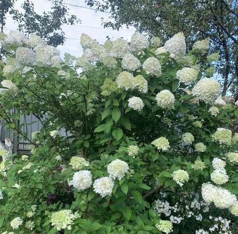 ул Центральная 139 фото ул Центральная 139 фото