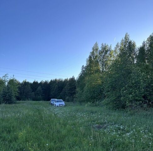 земля д Горный Борок 33, Нижний Новгород фото земля д Горный Борок 33, Нижний Новгород фото