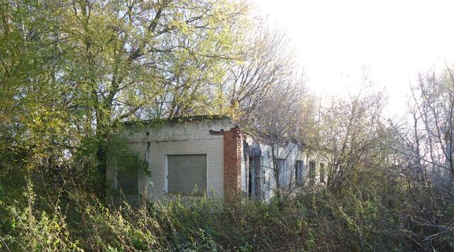 д Врачово фото д Врачово фото