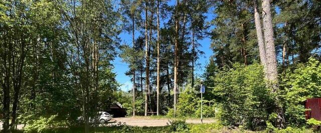 д Пенкино ул Верхняя Набережная фото д Пенкино ул Верхняя Набережная фото