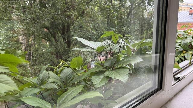 Старый Петергоф дом 3/4 р-н Петродворцовый Петергоф, Ленинградская область фото Старый Петергоф дом 3/4 р-н Петродворцовый Петергоф, Ленинградская область фото