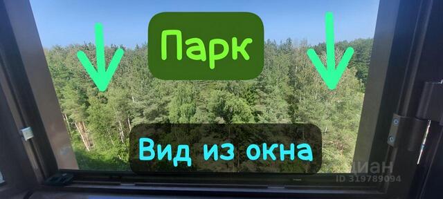 ул Михайловская 51 р-н Петродворцовый Ленинградская область фото ул Михайловская 51 р-н Петродворцовый Ленинградская область фото