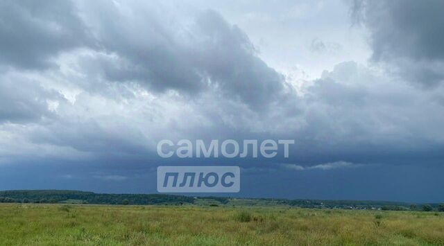 д Зимницы Гремячево с пос фото д Зимницы Гремячево с пос фото