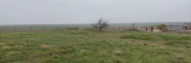 ул. Абрикосовая, Мечта СНТ фото ул. Абрикосовая, Мечта СНТ фото