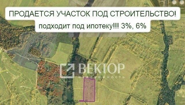 д Петровское фото д Петровское фото