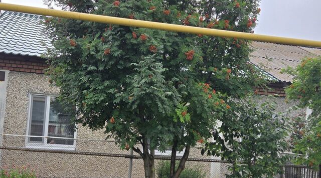 ул Строителей 6/1 фото ул Строителей 6/1 фото