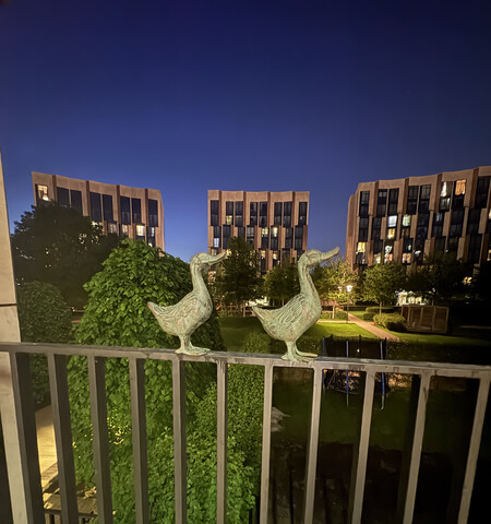 рп Заречье ул Весенняя 2/1 фото рп Заречье ул Весенняя 2/1 фото