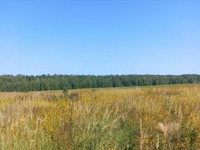 д Чуприково снт Чуприково 118 фото д Чуприково снт Чуприково 118 фото