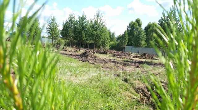 земля фото земля фото