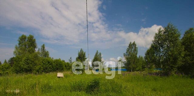 с пос, Большие Козлы фото с пос, Большие Козлы фото