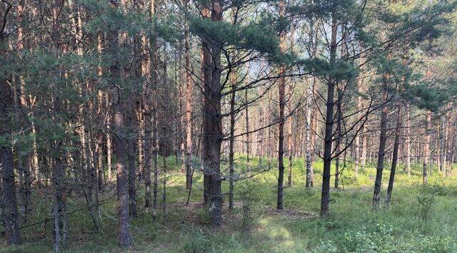 д Бутово фото д Бутово фото